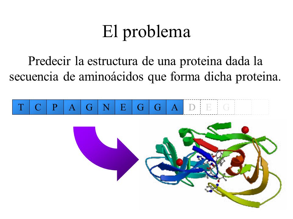 El problema Predecir la estructura de una proteina dada la secuencia de aminoácidos que forma dicha proteina.