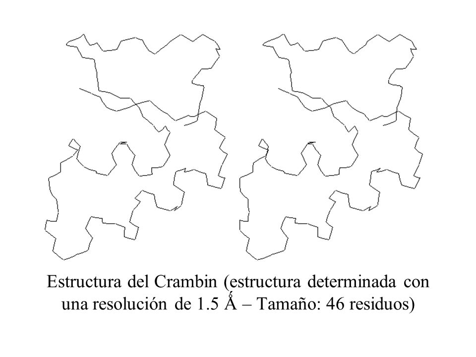 Estructura del Crambin (estructura determinada con una resolución de 1