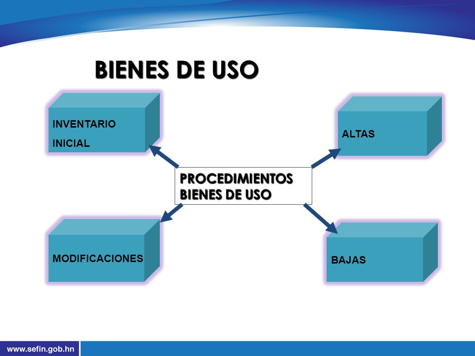 BIENES DE USO PROCEDIMIENTOS BIENES DE USO INVENTARIO INICIAL ALTAS