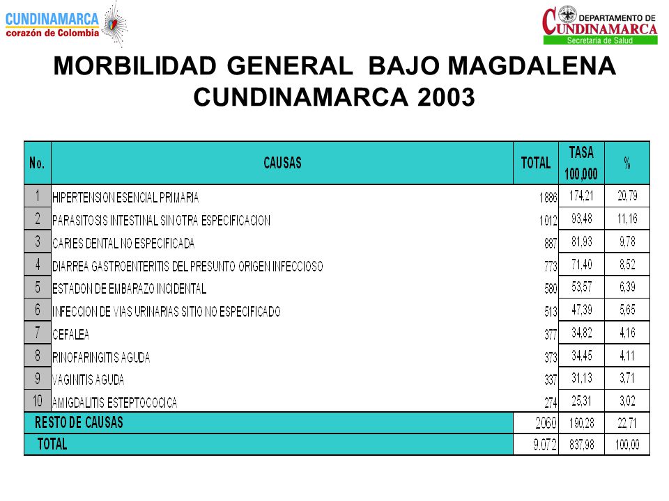 MORBILIDAD GENERAL BAJO MAGDALENA CUNDINAMARCA 2003