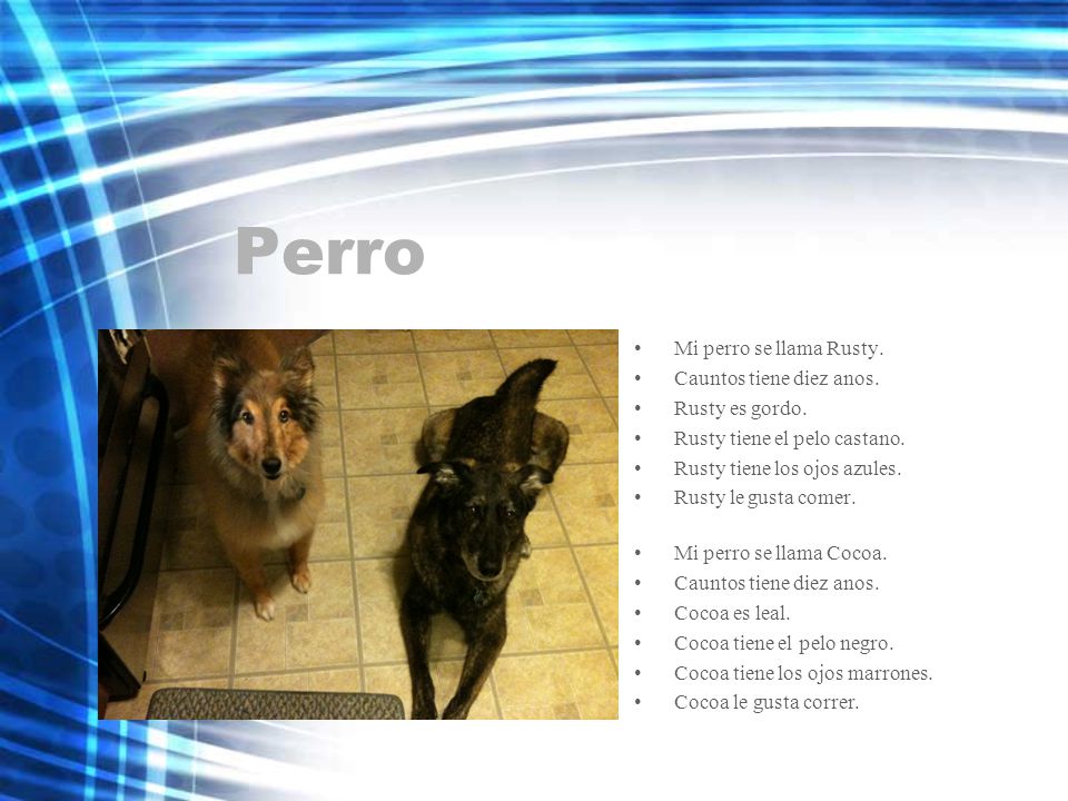 Perro Mi perro se llama Rusty. Cauntos tiene diez anos.