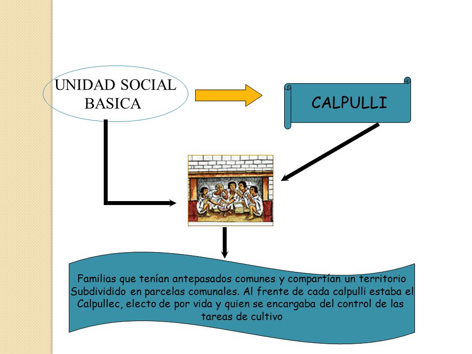 UNIDAD SOCIAL BASICA CALPULLI