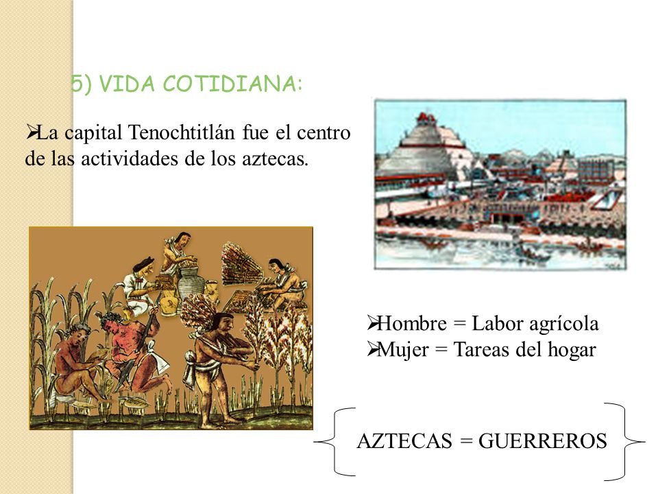 5) VIDA COTIDIANA: La capital Tenochtitlán fue el centro. de las actividades de los aztecas. Hombre = Labor agrícola.
