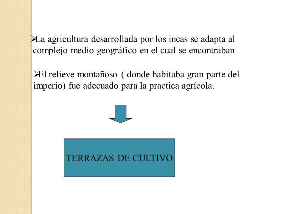La agricultura desarrollada por los incas se adapta al