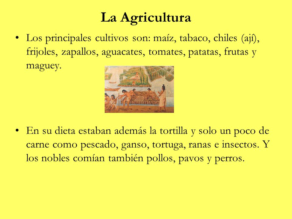 La Agricultura Los principales cultivos son: maíz, tabaco, chiles (ají), frijoles, zapallos, aguacates, tomates, patatas, frutas y maguey.