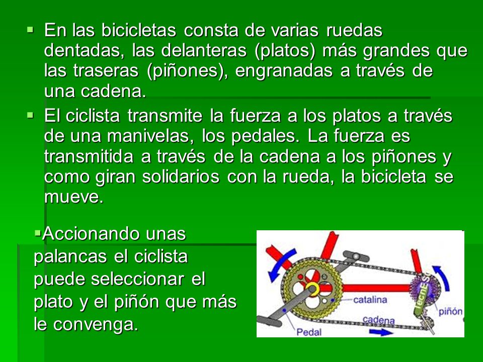 En las bicicletas consta de varias ruedas dentadas, las delanteras (platos) más grandes que las traseras (piñones), engranadas a través de una cadena.