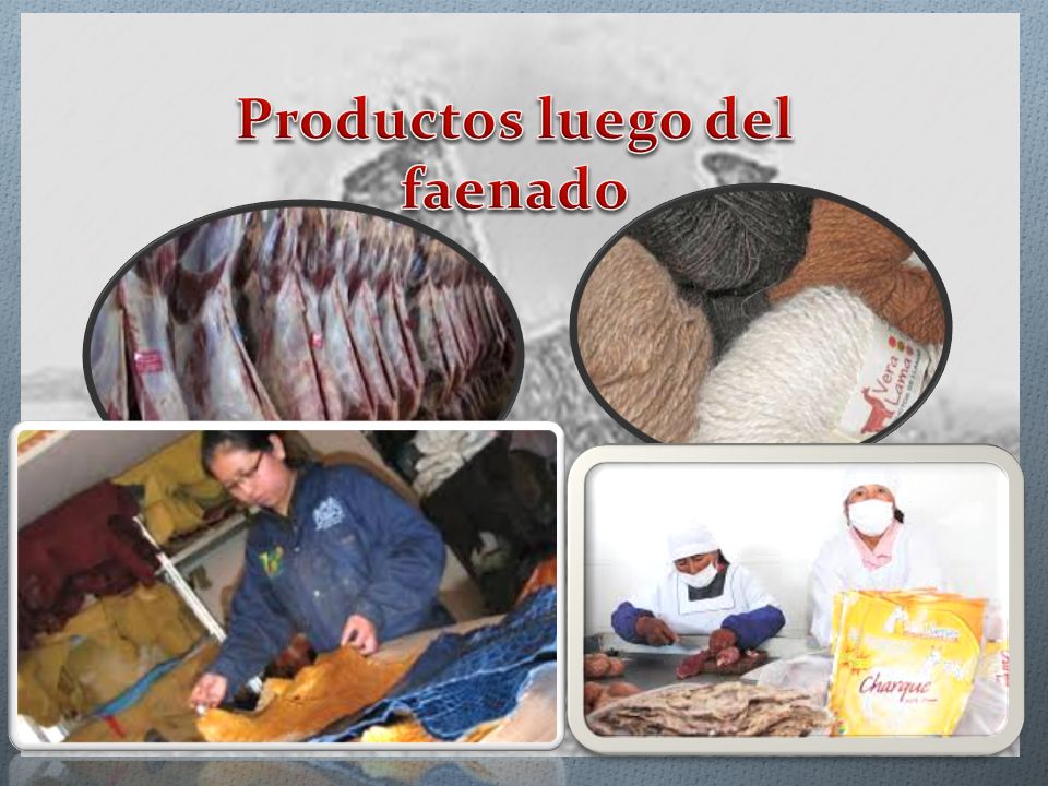 Productos luego del faenado