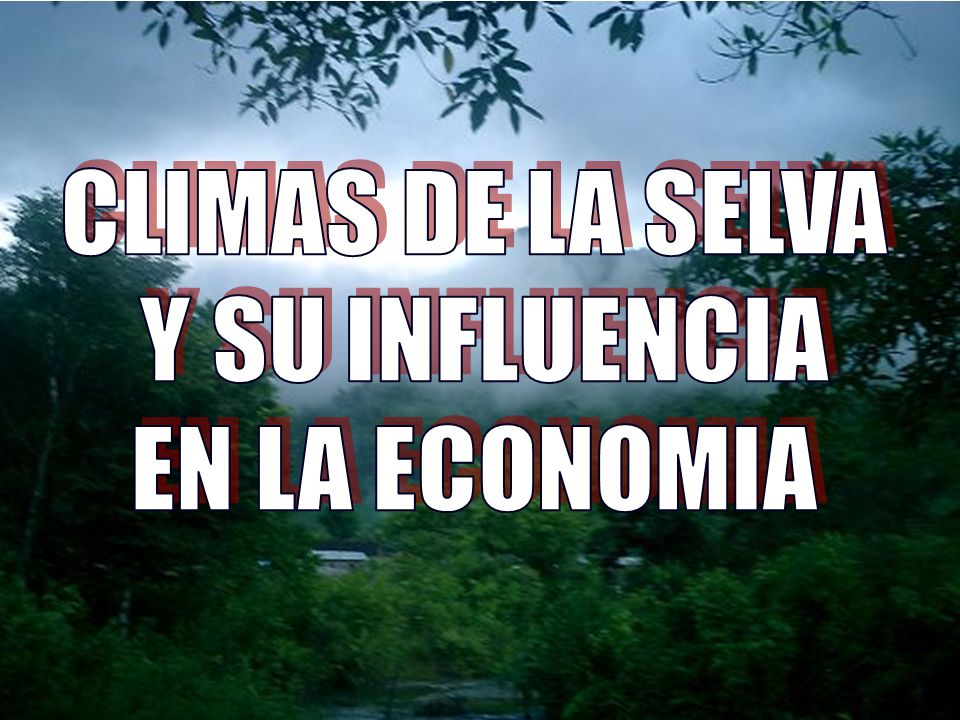 CLIMAS DE LA SELVA Y SU INFLUENCIA EN LA ECONOMIA