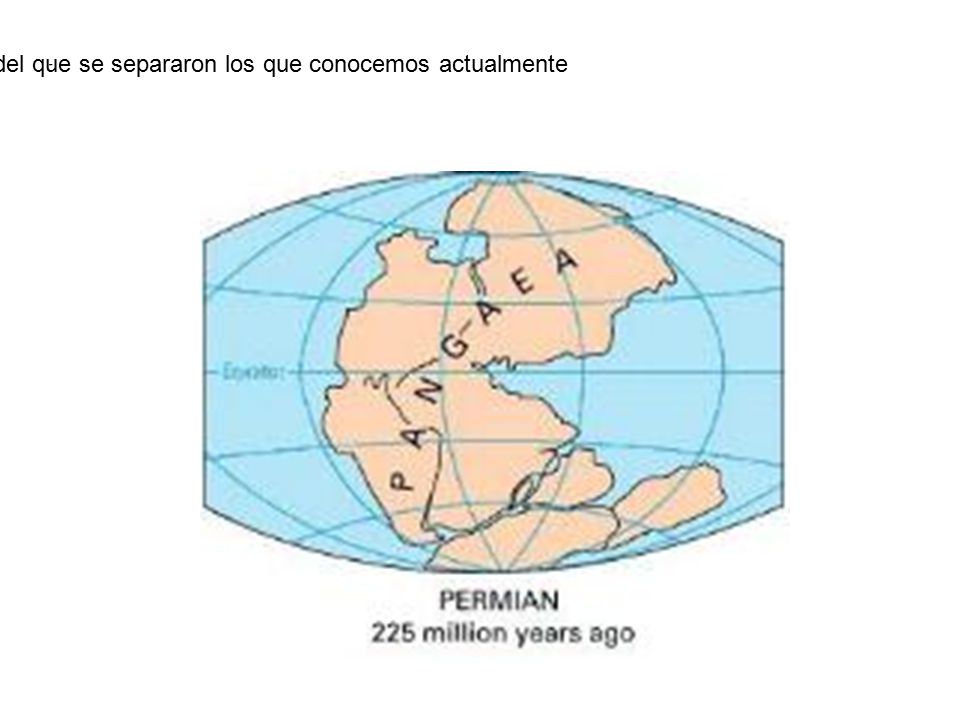 Denominó PANGEA al continente primitivo del que se separaron los que conocemos actualmente