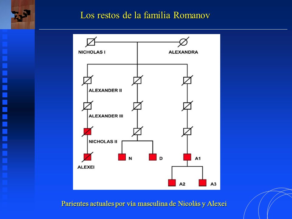 Parientes actuales por vía masculina de Nicolás y Alexei