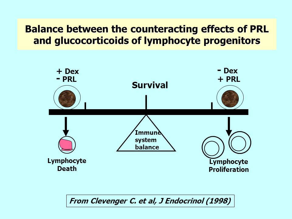 Balance between the counteracting effects of PRL and glucocorticoids of lymphocyte progenitors