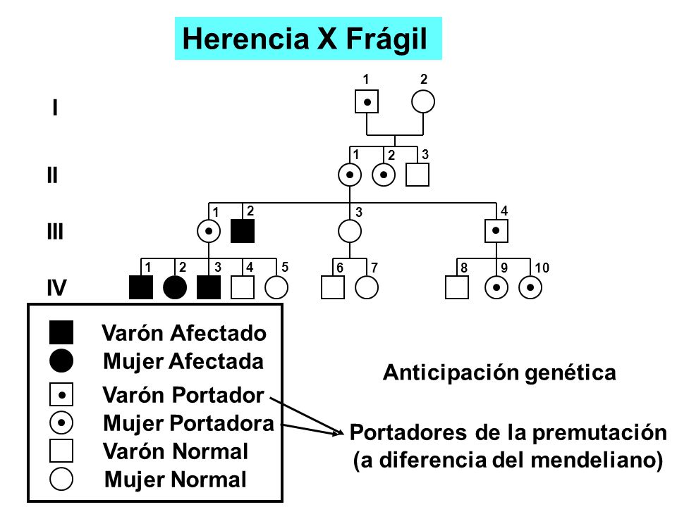 Portadores de la premutación (a diferencia del mendeliano)