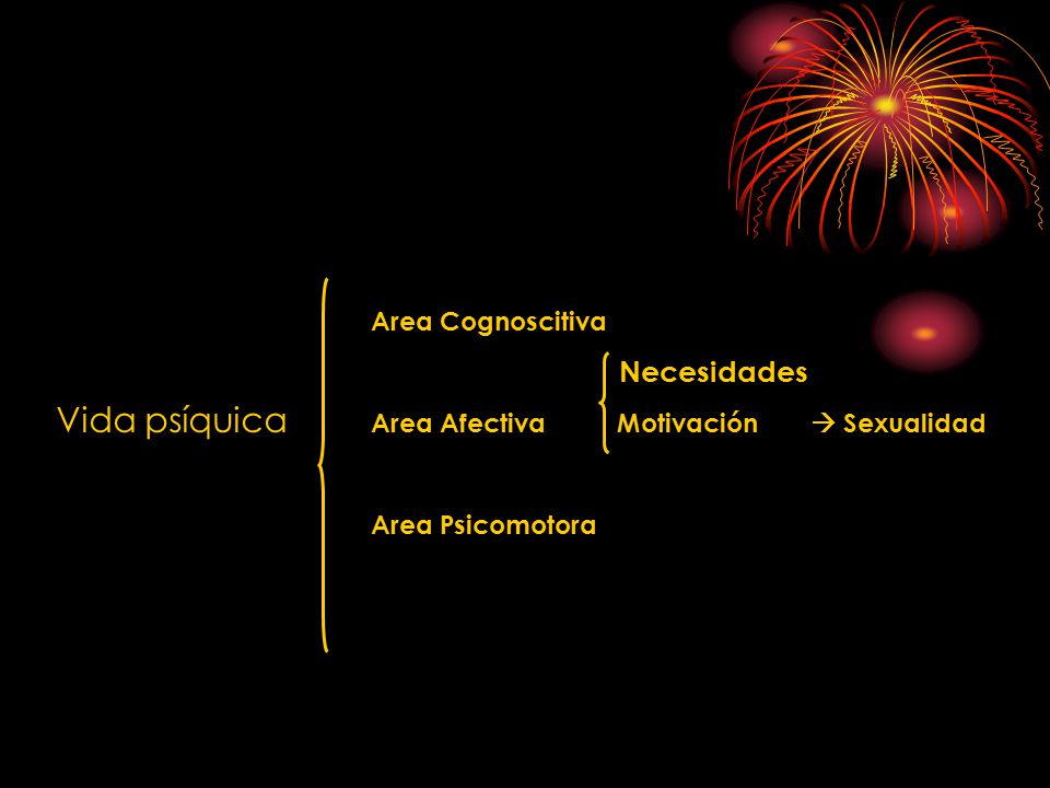 Area Cognoscitiva Necesidades. Vida psíquica Area Afectiva Motivación  Sexualidad.