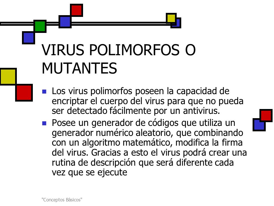 VIRUS POLIMORFOS O MUTANTES