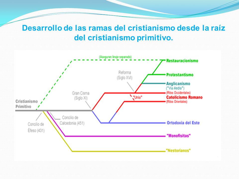 Desarrollo de las ramas del cristianismo desde la raíz del cristianismo primitivo.