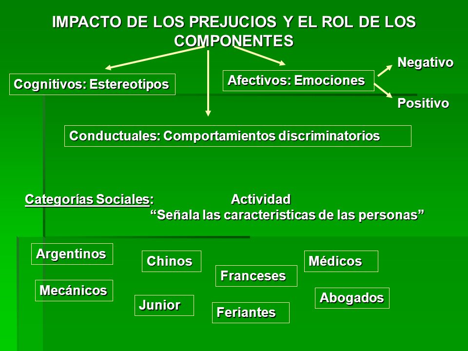 IMPACTO DE LOS PREJUCIOS Y EL ROL DE LOS COMPONENTES