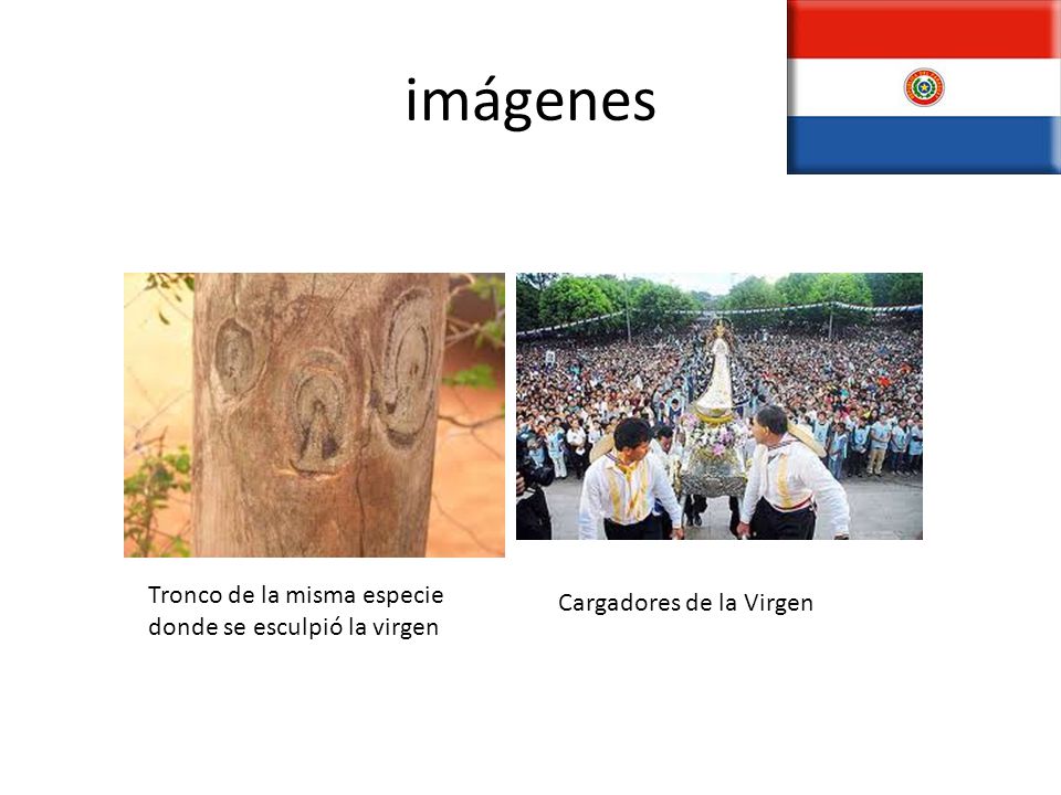 imágenes Tronco de la misma especie donde se esculpió la virgen