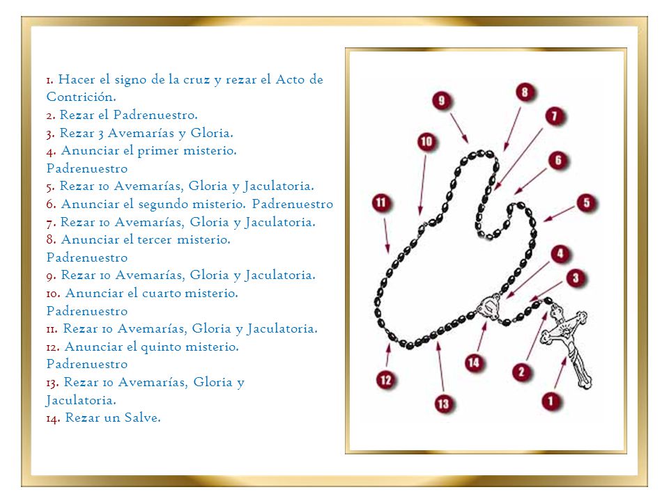 1. Hacer el signo de la cruz y rezar el Acto de Contrición.