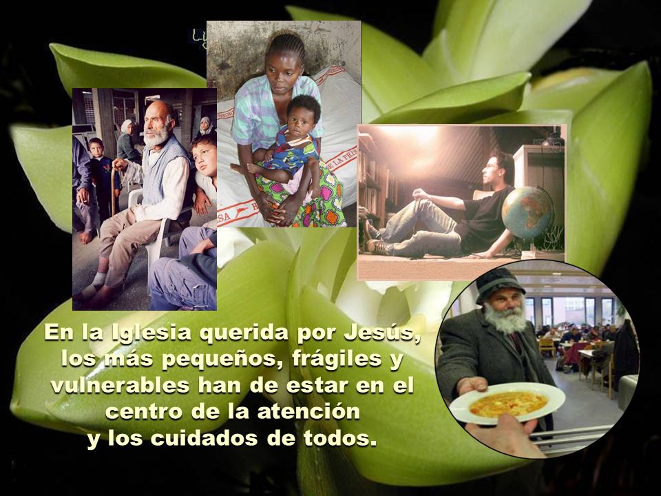 En la Iglesia querida por Jesús, los más pequeños, frágiles y vulnerables han de estar en el centro de la atención