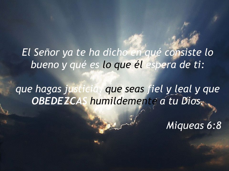 El Señor ya te ha dicho en qué consiste lo bueno y qué es lo que él espera de ti: