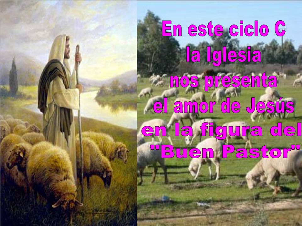 En este ciclo C la Iglesia nos presenta el amor de Jesús en la figura del Buen Pastor