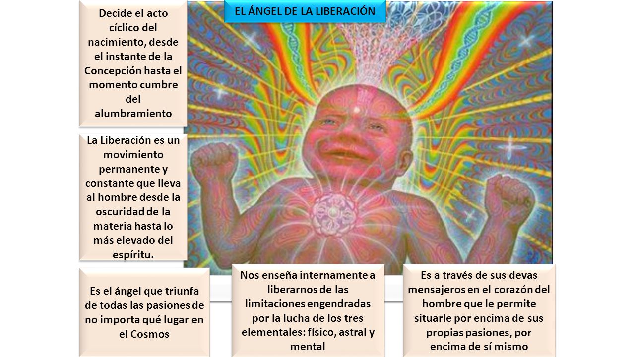 Decide el acto cíclico del nacimiento, desde el instante de la