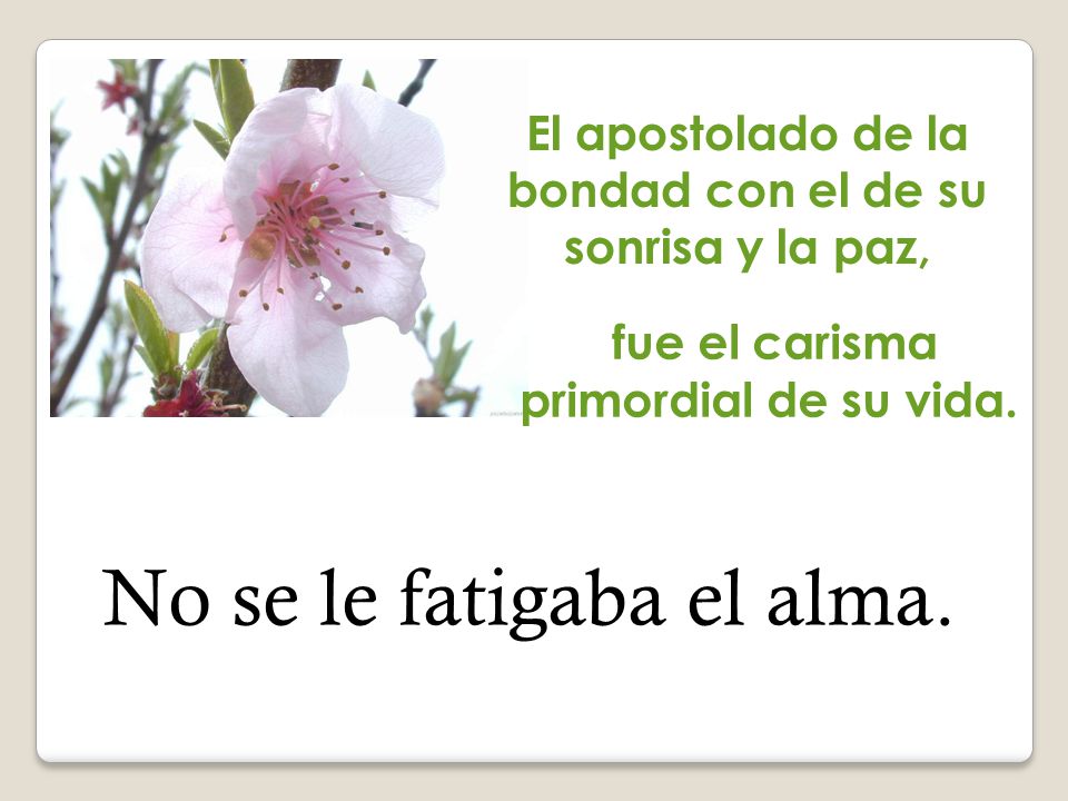 El apostolado de la bondad con el de su sonrisa y la paz,