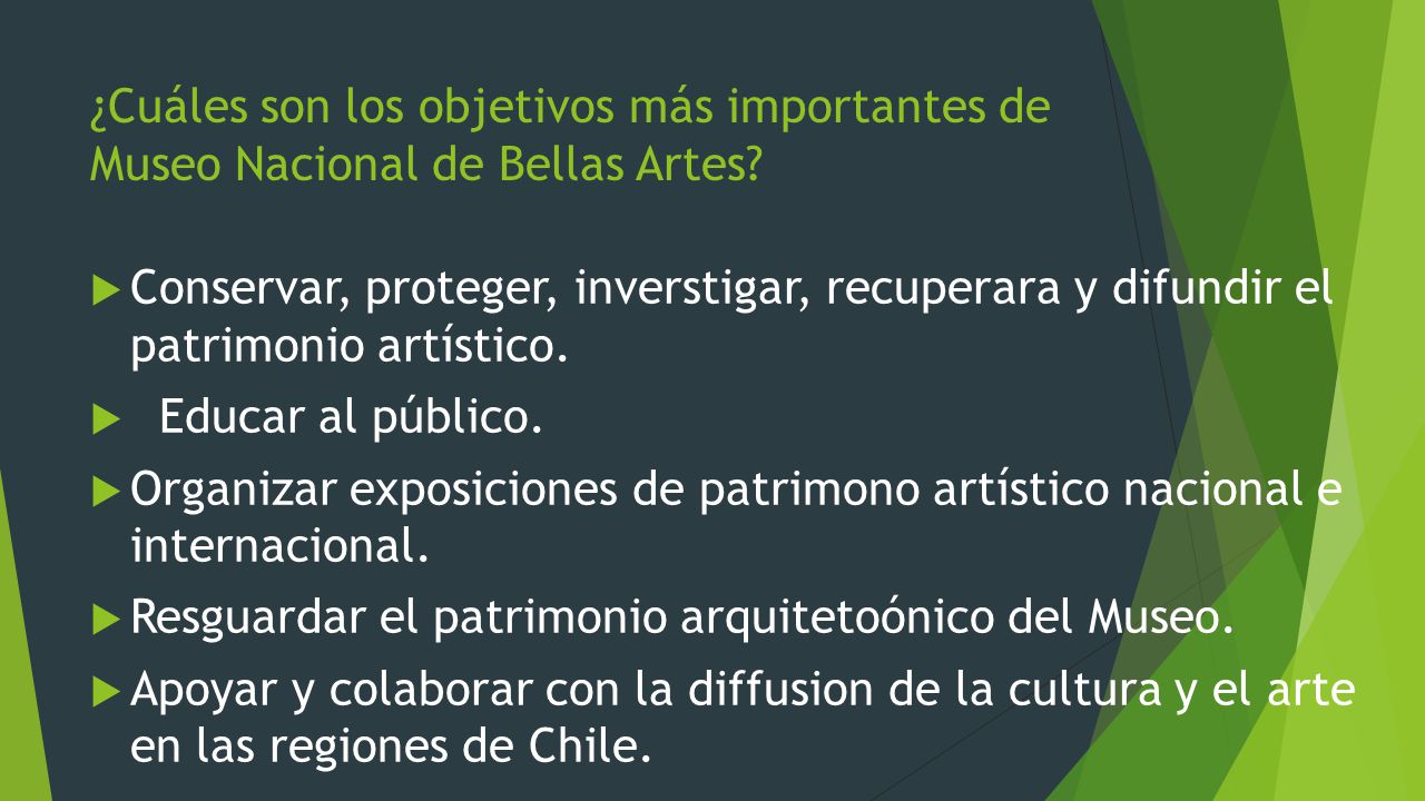 ¿Cuáles son los objetivos más importantes de Museo Nacional de Bellas Artes