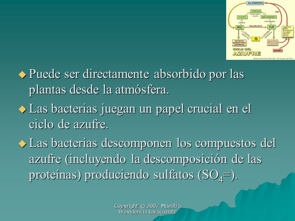 Copyright © 2007 Maestra Providencia Laracuente