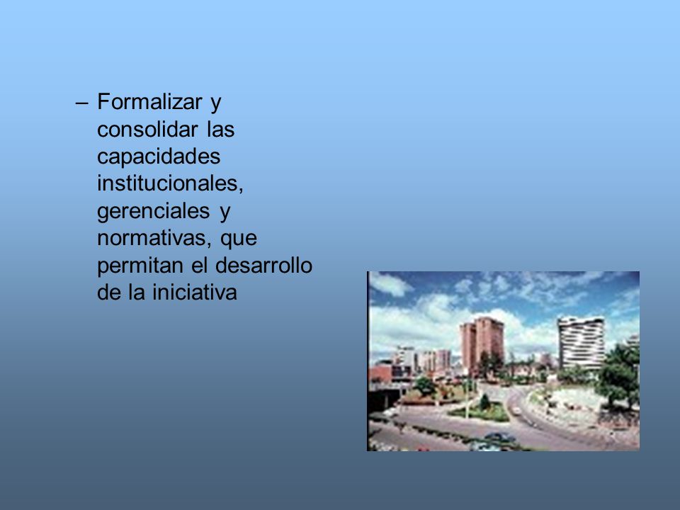 Formalizar y consolidar las capacidades institucionales, gerenciales y normativas, que permitan el desarrollo de la iniciativa