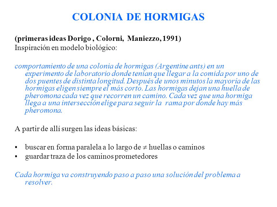 COLONIA DE HORMIGAS (primeras ideas Dorigo , Colorni, Maniezzo, 1991)