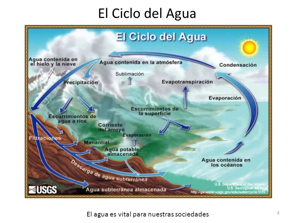 El Ciclo del Agua El agua es vital para nuestras sociedades