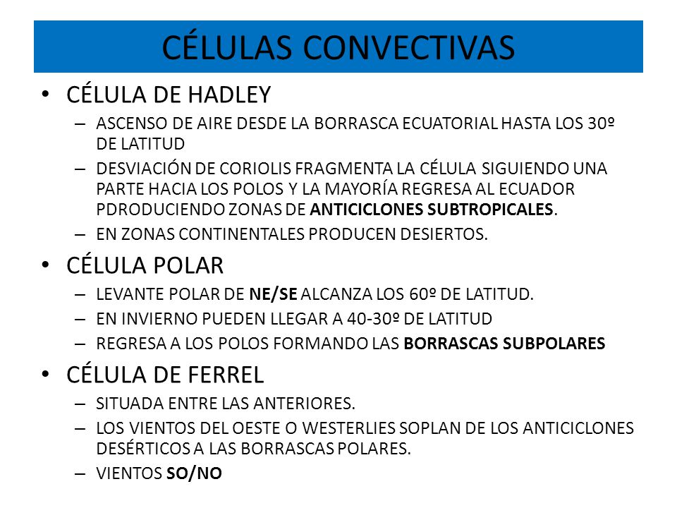 CÉLULAS CONVECTIVAS CÉLULA DE HADLEY CÉLULA POLAR CÉLULA DE FERREL