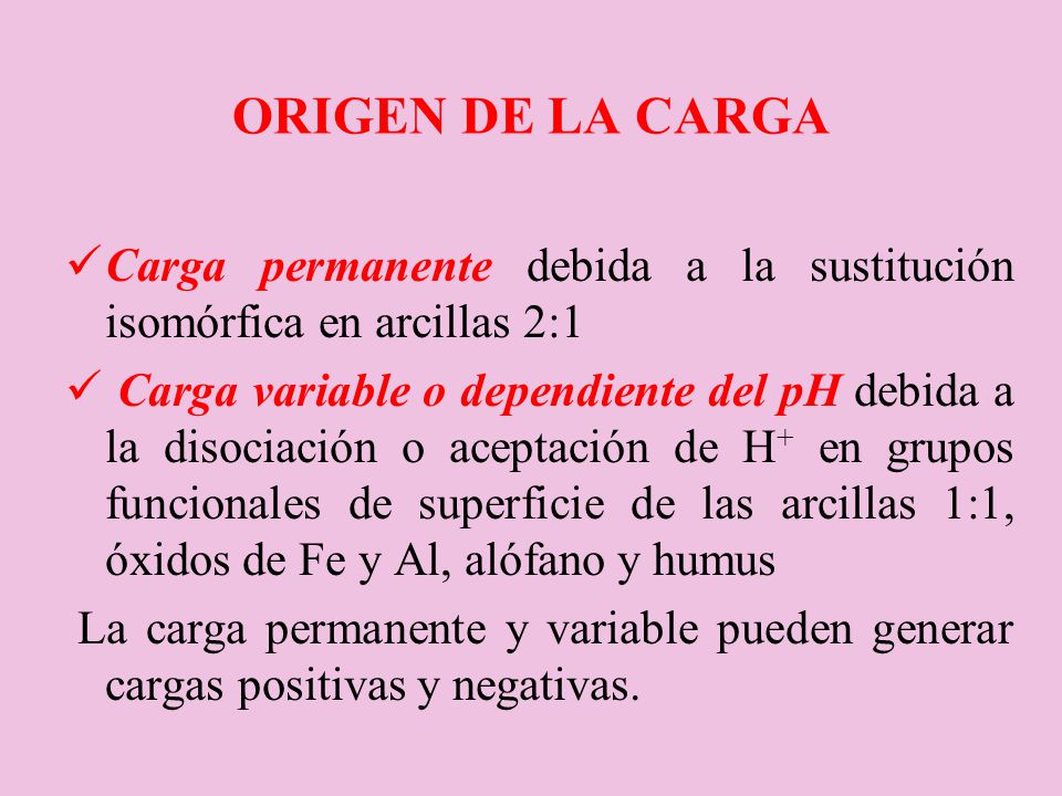 ORIGEN DE LA CARGA Carga permanente debida a la sustitución isomórfica en arcillas 2:1.