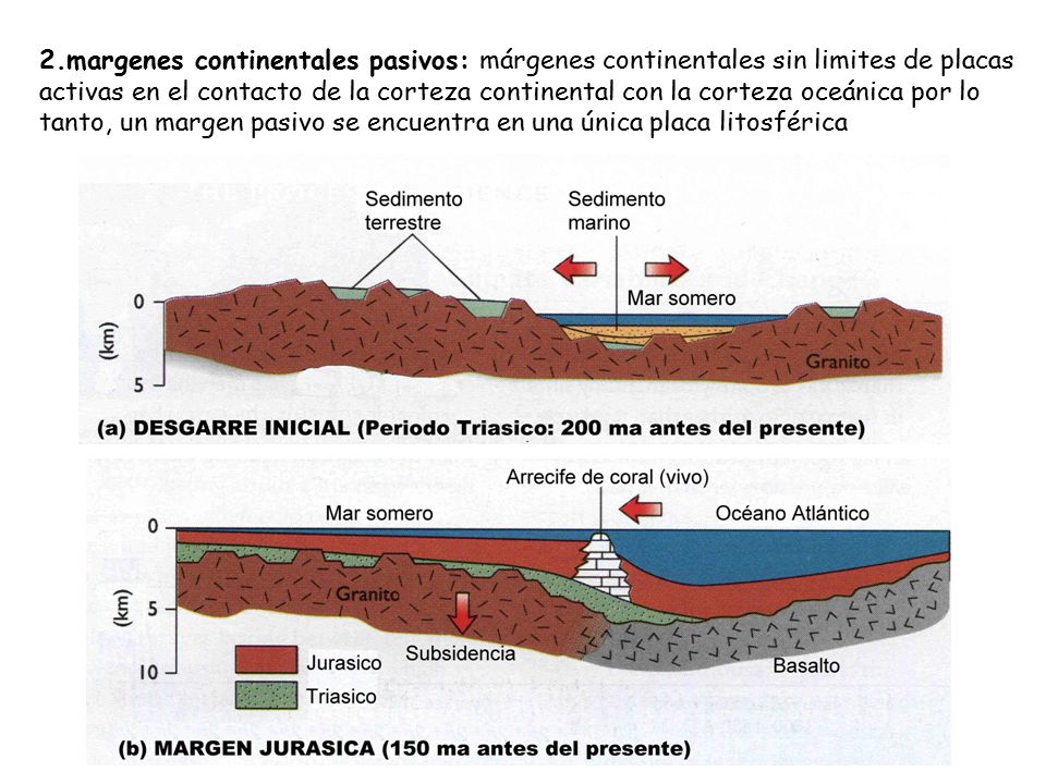 2.margenes continentales pasivos: márgenes continentales sin limites de placas activas en el contacto de la corteza continental con la corteza oceánica por lo tanto, un margen pasivo se encuentra en una única placa litosférica