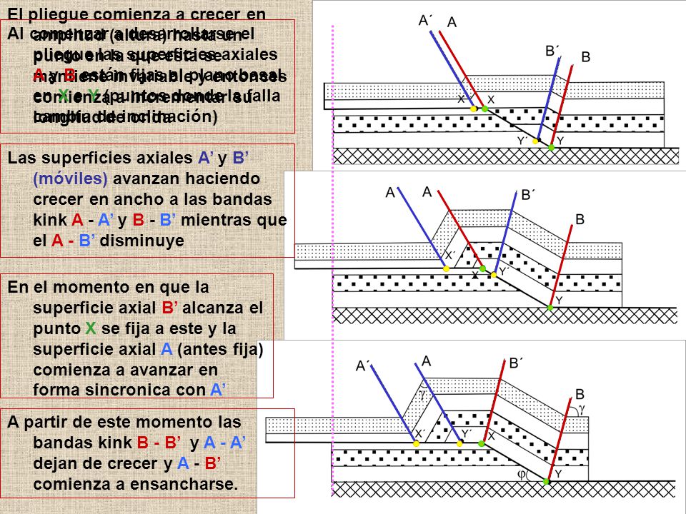 El pliegue comienza a crecer en amplitud (altura) hasta un punto en la que esta se mantiene invariable y entonces comienza a incrementar su longitud de onda