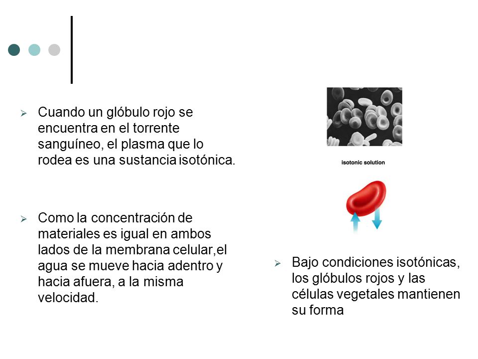 Bajo condiciones isotónicas, los glóbulos rojos y las células vegetales mantienen su forma