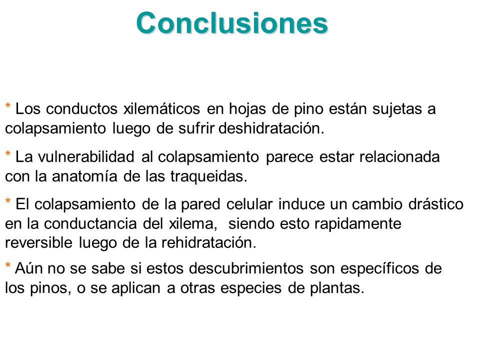 Conclusiones * Los conductos xilemáticos en hojas de pino están sujetas a colapsamiento luego de sufrir deshidratación.