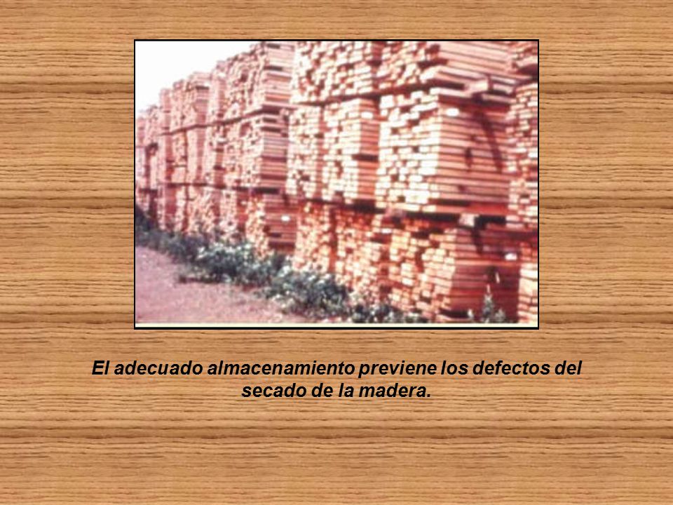 El adecuado almacenamiento previene los defectos del secado de la madera.