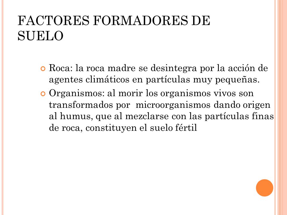 FACTORES FORMADORES DE SUELO
