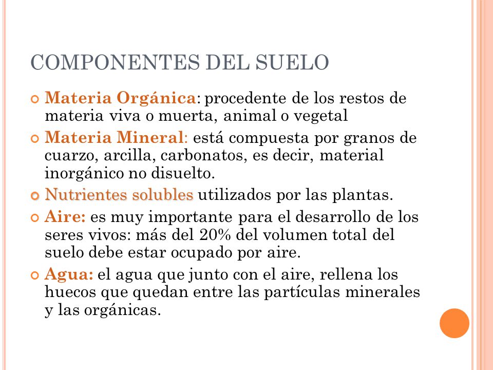 COMPONENTES DEL SUELO Materia Orgánica: procedente de los restos de materia viva o muerta, animal o vegetal.