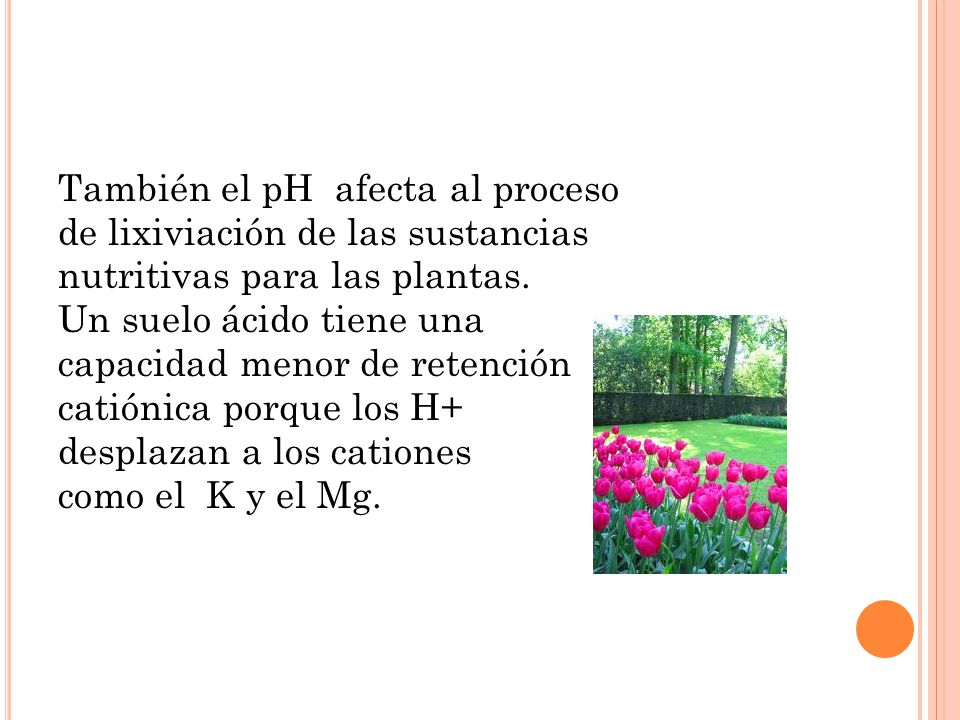 También el pH afecta al proceso de lixiviación de las sustancias nutritivas para las plantas.