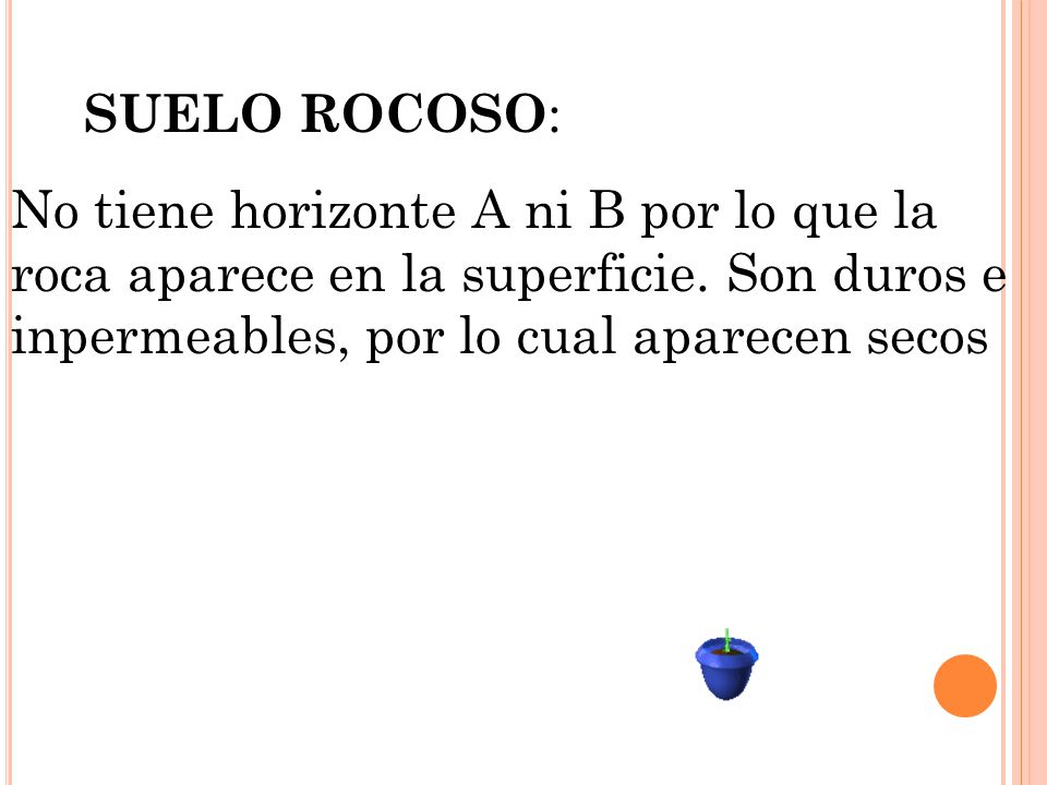 SUELO ROCOSO: No tiene horizonte A ni B por lo que la roca aparece en la superficie.