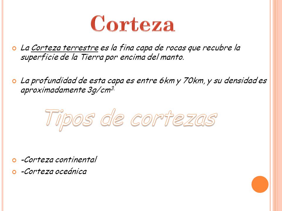 Corteza Tipos de cortezas