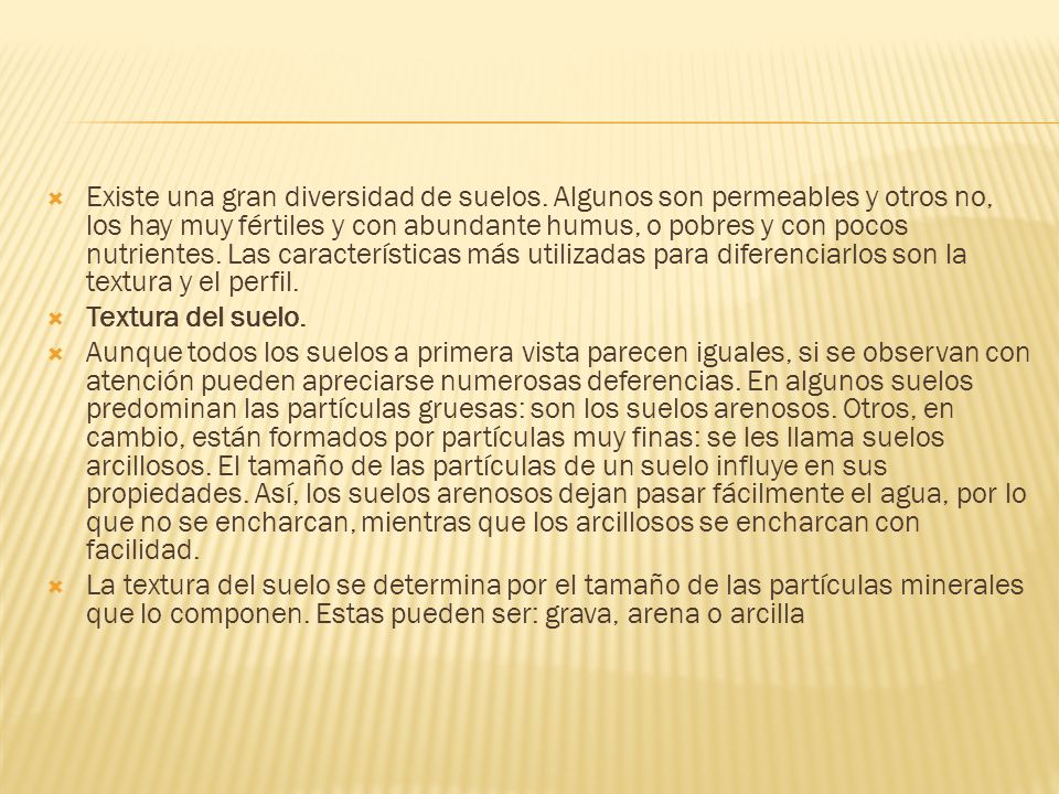 Existe una gran diversidad de suelos