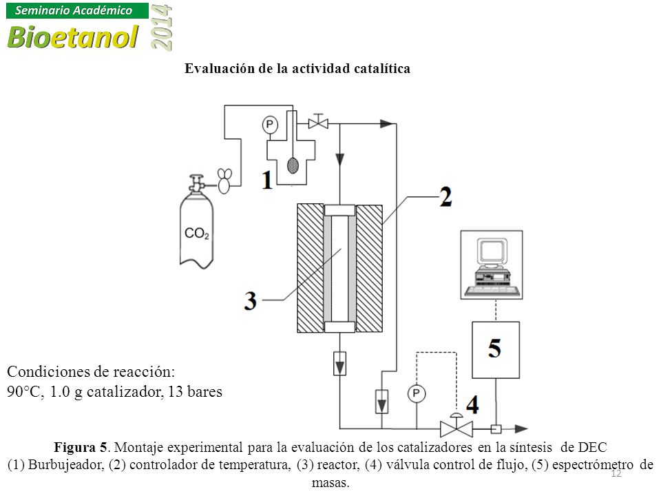 Evaluación de la actividad catalítica