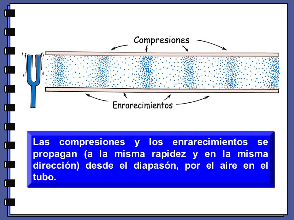 Las compresiones y los enrarecimientos se propagan (a la misma rapidez y en la misma dirección) desde el diapasón, por el aire en el tubo.