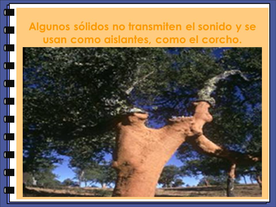 Algunos sólidos no transmiten el sonido y se usan como aislantes, como el corcho.