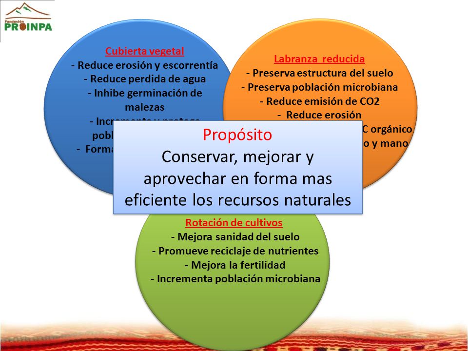 Cubierta vegetal - Reduce erosión y escorrentía. - Reduce perdida de agua. - Inhibe germinación de malezas.