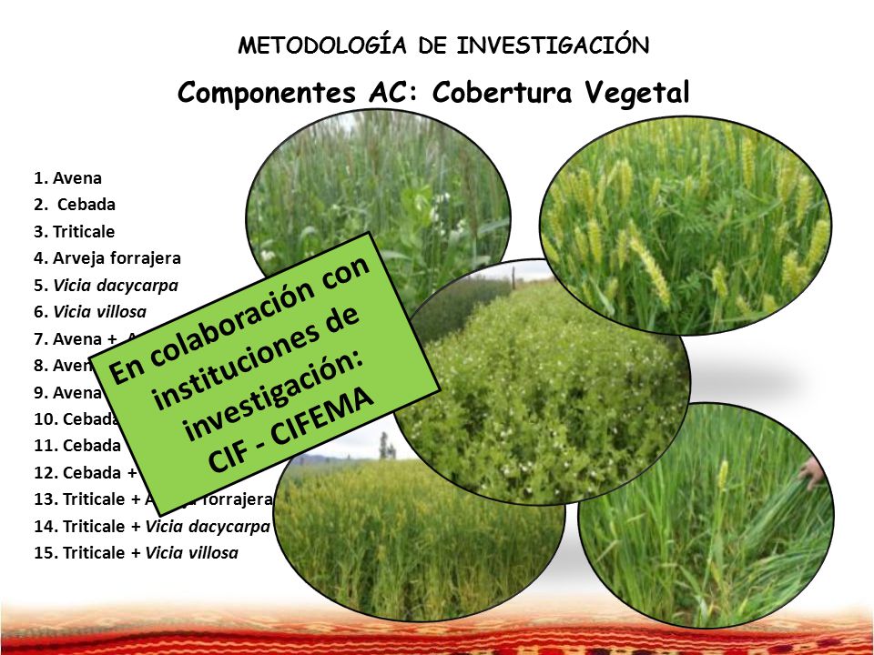 En colaboración con instituciones de investigación: CIF - CIFEMA